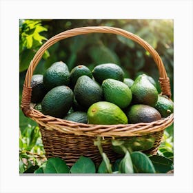 Avocados In A Basket 2 Canvas Print