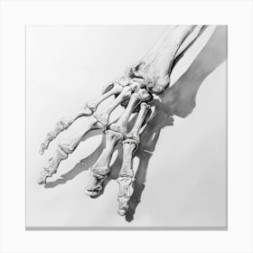 Skeleton Hand 1 Canvas Print