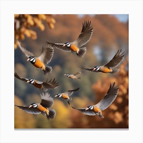 Pigeons In Flight 1 Canvas Print