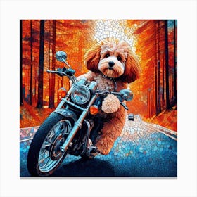 Poodle On A Motorcycle Canvas Print