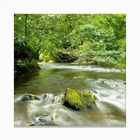 Stream In The Woods  Canvas Print