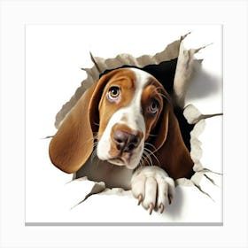 Dog Peeking Out Of Hole Canvas Print