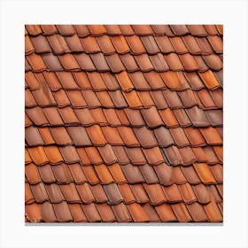 Tile Roof 2 Canvas Print