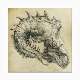 Fantasy Skull Of A Ram Canvas Print