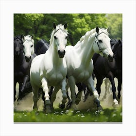 Horses In The Field Canvas Print