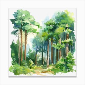 Watercolor Forest 5 Lienzo