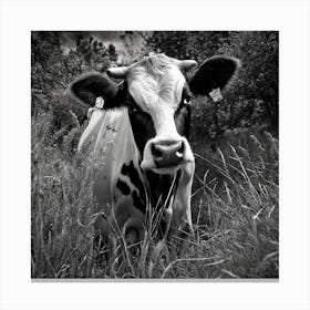 Cow In The Grass Canvas Print