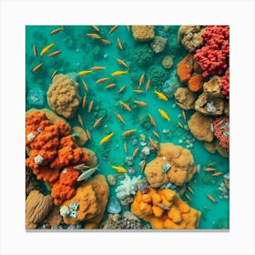 Coral Reef In The Red Sea7 Canvas Print