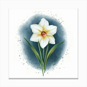 Daffodil Canvas Print