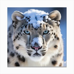 Snow Leopard 13 Canvas Print
