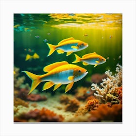 Fishes In The Sea Canvas Print