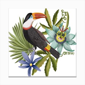 Tucan And Passionflower Square Canvas Print