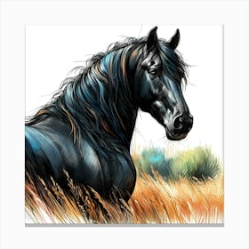 Wild Black Mustang Horse In The Gras Color Drawing Canvas Print