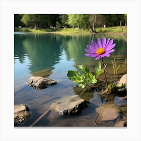 Daisy In The Water Canvas Print