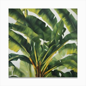 Banana Tree Canvas Print