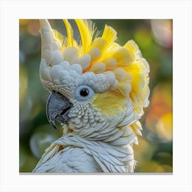 Cockatoo 4 Canvas Print