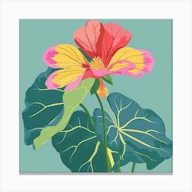 Nasturtium 3 Square Flower Illustration Canvas Print