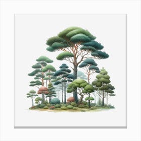 Forest Of Trees Canvas Print