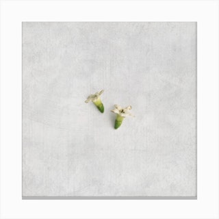 Tiny White Florals Square Canvas Print
