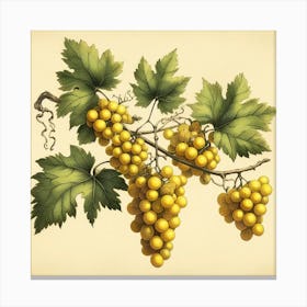 Yellow Grapes Canvas Print