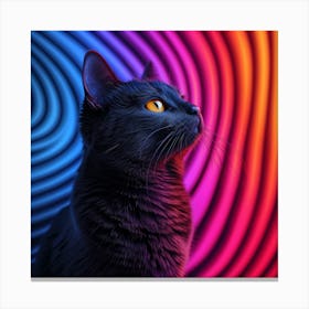 Black Cat On Colorful Background Canvas Print