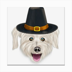 Pyrenean Shepherd Wearing Pilgrim Hat Thanksgiving Canvas Print