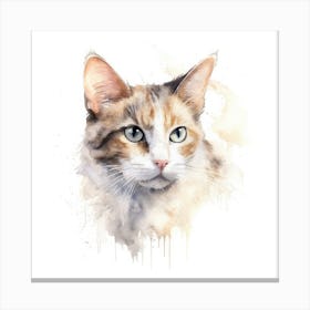 Thai Pointed Cat Portrait Canvas Print