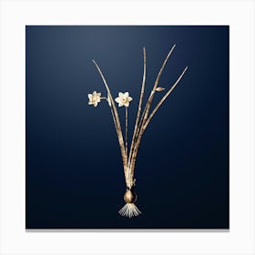 Gold Botanical Daffodil on Midnight Navy n.3739 Canvas Print