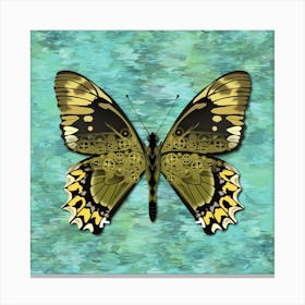 Mechanical Butterfly The Battus Madyes Tucumanus On A Light Blue Background Canvas Print