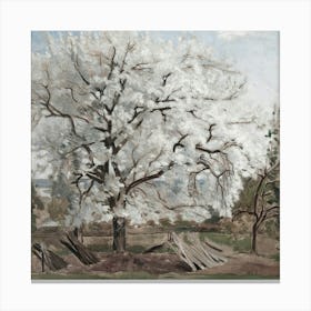 Blossoming Tree Canvas Print