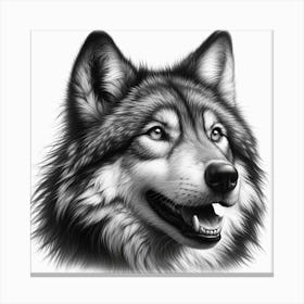 Grey wolf 4 Canvas Print