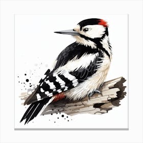 Woodpecker 1 Canvas Print