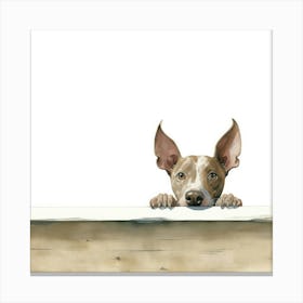 Dog Peeking Over The Fence Canvas Print