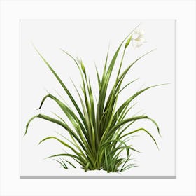 Watercolor-Spring-Grass-Clipart.1 Canvas Print