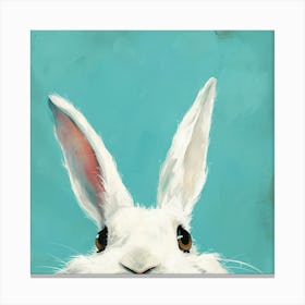 White Rabbit Canvas Print