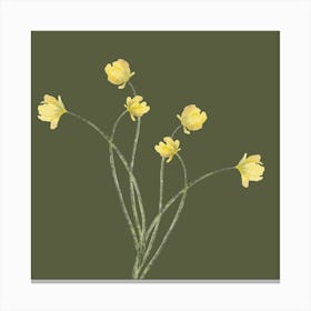 Daffodils 1 Canvas Print