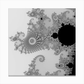 Males Almond Bread Abstract Mathematics Spiral Crowd Self Similar Fractal Mandelbrot Mathematical Black And White Canvas Print