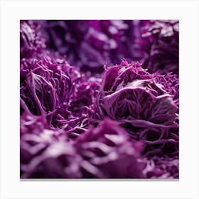 Purple Cabbage Close Up 2 Canvas Print