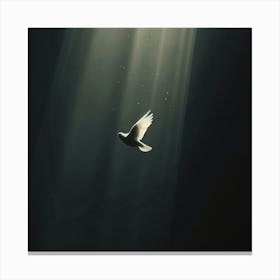 Dove In The Light Canvas Print