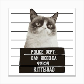 Grumpy Cat Canvas Print