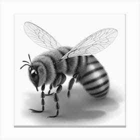 Bee Drawing Canvas Print