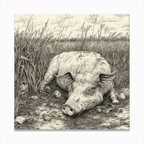 Pig In The Grass Canvas Print