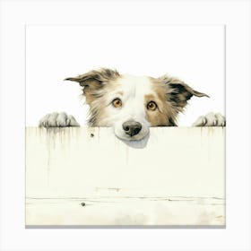 Border Collie 9 Canvas Print