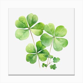 Four Leaf Clover 17 Canvas Print