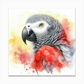 Watercolor African Grey Parrot 1 Lienzo