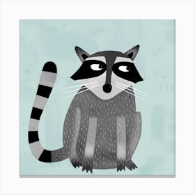 Raccoon Canvas Print