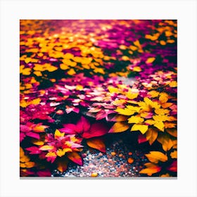 Autumn Leaves On The Ground Canvas Print