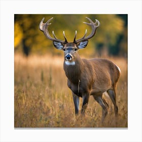 Deer In The Field Canvas Print