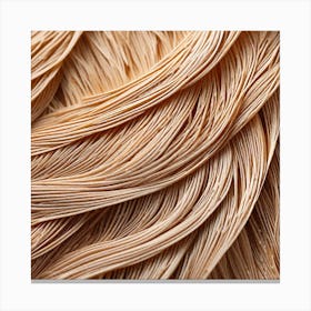 Close Up Of Noodles Canvas Print