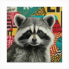 Raccoon 2 Canvas Print